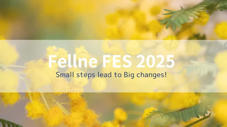 2025年3月7日『FellneFES vol.2』を開催